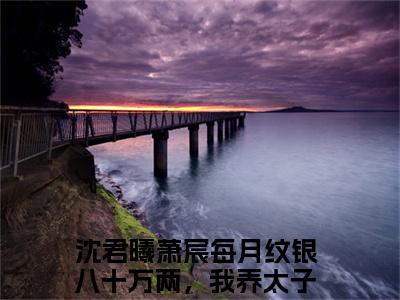 每月纹银八十万两，我养太子做外室（沈君曦萧宸）小说全文-沈君曦萧宸小说免费阅读大结局