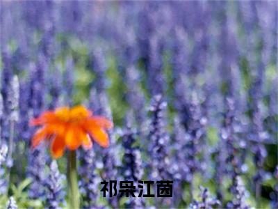祁枭江茵（他的吻，戒不掉）全文免费阅读无弹窗大结局_祁枭江茵最新章节列表_笔趣阁（他的吻，戒不掉）