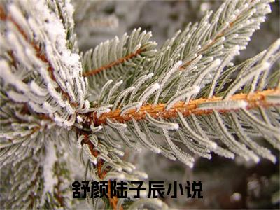 舒颜陆子辰（舒颜陆子辰最新全章节大结局）全文阅读-舒颜陆子辰在线小说免费阅读