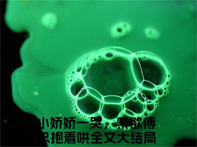小娇娇一哭，禁欲傅总抱着哄小说（傅御琛林双）全文免费阅读无弹窗大结局_ (小娇娇一哭，禁欲傅总抱着哄免费阅读)最新章节列表_笔趣阁（傅御琛林双）