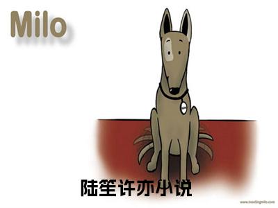 2023年爆款小说《陆笙许亦》主角陆笙许亦全文在线完本阅读