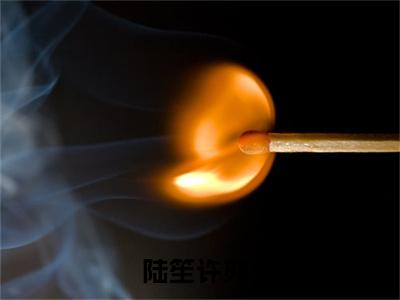 陆笙许亦全文免费阅读无弹窗大结局_(陆笙许亦)免费阅读全文无弹窗_
