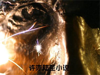 许亦陆笙小说（许亦陆笙）小说全文无删减版在线阅读_许亦陆笙小说最新章节列表