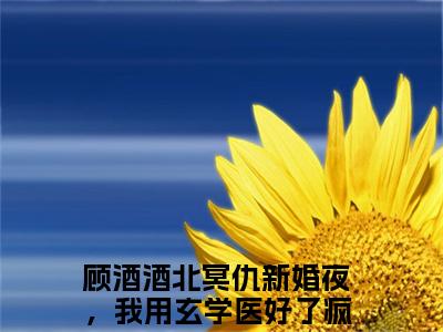 新婚夜，我用玄学医好了疯批老公（顾酒酒北冥仇）全文免费阅读无弹窗大结局_（顾酒酒北冥仇）章节列表_笔趣阁
