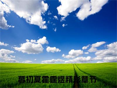 慕初夏霍霆煜无弹窗免费阅读 慕初夏霍霆煜大结局无删阅读_笔趣阁