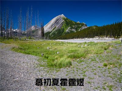 慕初夏霍霆煜书名是《慕初夏霍霆煜》在线赏析_慕初夏霍霆煜txt小说阅读_慕初夏霍霆煜在线阅读笔趣阁