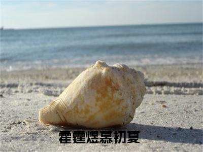 霍霆煜慕初夏的小说（霍霆煜慕初夏）免费阅读_霍霆煜慕初夏小说免费阅读-笔趣阁