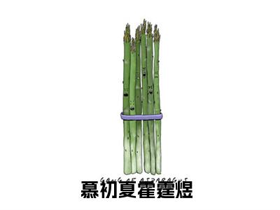 慕初夏霍霆煜小说（慕初夏霍霆煜）全文免费阅读无弹窗大结局_(慕初夏霍霆煜小说免费阅读)慕初夏霍霆煜小说最新章节列表_笔趣阁