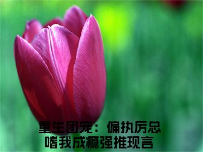 厉渊池慕(重生团宠：偏执厉总嗜我成瘾后续)全文免费阅读无弹窗大结局_(重生团宠：偏执厉总嗜我成瘾后续免费阅读全文大结局)最新章节列表_笔趣阁（厉渊池慕）