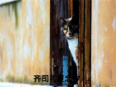 齐司礼夏念汐在线阅读（齐司礼夏念汐）全文免费阅读无弹窗大结局_齐司礼夏念汐免费最新章节列表_笔趣阁（齐司礼夏念汐）