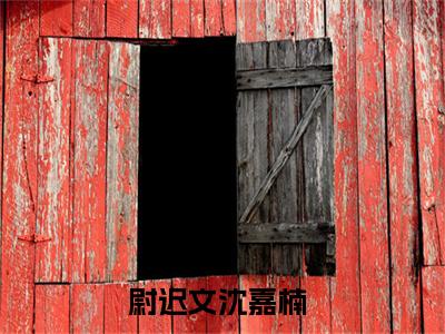 悲故里是什么小说-小说尉迟文沈嘉楠全文阅读