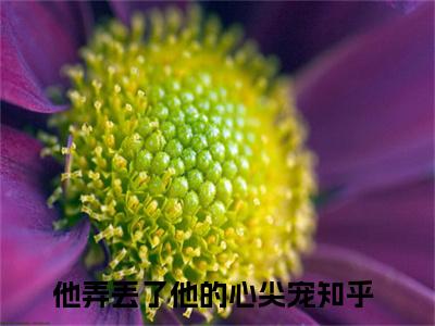 孟星辰厉寒琛的小说免费阅读（他弄丢了他的心尖宠小说免费阅读）全文免费阅读大结局-他弄丢了他的心尖宠热门榜单好书推荐