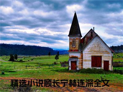 顾长宁赫连深（顾长宁赫连深）全文免费大结局，顾长宁赫连深结局在线阅读