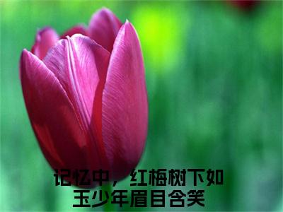 （阮玉凝裴季肖）记忆中，红梅树下如玉少年眉目含笑小说小说全文免费记忆中，红梅树下如玉少年眉目含笑读最新章节列表笔趣阁（阮玉凝裴季肖）