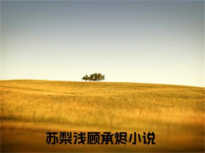 苏梨浅顾承烬（苏梨浅顾承烬）全文免费阅读无弹窗大结局_(苏梨浅顾承烬)苏梨浅顾承烬全文免费阅读无弹窗最新章节列表_笔趣阁（苏梨浅顾承烬）