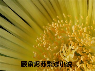 顾承烬苏梨浅小说全文阅读-（顾承烬苏梨浅）小说大结局