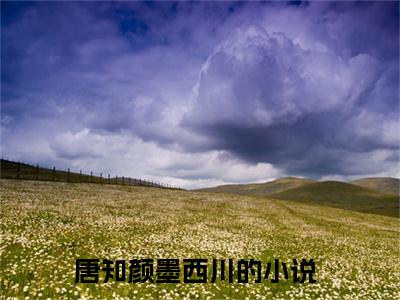 唐知颜墨西川（唐知颜墨西川txt）全文免费阅读无弹窗大结局_唐知颜墨西川最新章节列表_笔趣阁（唐知颜墨西川txt）