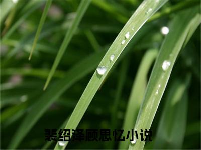裴绍泽顾思忆小说（裴绍泽顾思忆）全文免费阅读无弹窗_裴绍泽顾思忆全文免费阅读无弹窗最新章节列表笔趣阁（裴绍泽顾思忆）