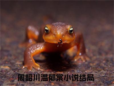 周韶川温郁棠在线阅读（周韶川温郁棠）全文无弹窗大结局_周韶川温郁棠全文在线阅读无弹窗