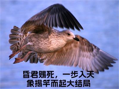 昏君赐死，一步入天象揭竿而起苏焕免费阅读无弹窗最新章节列表-（昏君赐死，一步入天象揭竿而起）苏焕全文免费阅读大结局笔趣阁（昏君赐死，一步入天象揭竿而起）