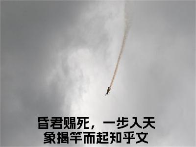 昏君赐死，一步入天象揭竿而起（苏焕）免费小说-苏焕（昏君赐死，一步入天象揭竿而起）最新章节完整版阅读