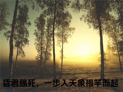 昏君赐死，一步入天象揭竿而起 苏焕小说全文免费阅读_昏君赐死，一步入天象揭竿而起 （苏焕）最新章节列表笔趣阁