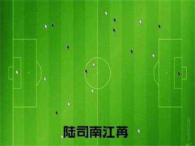 满分小说（陆司南江苒）全文免费阅读 陆司南江苒言情小说讲的是什么
