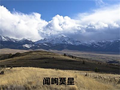 闻峋莫星（星星喜欢他小说）全文免费阅读无弹窗大结局_闻峋莫星最新章节（星星喜欢他）