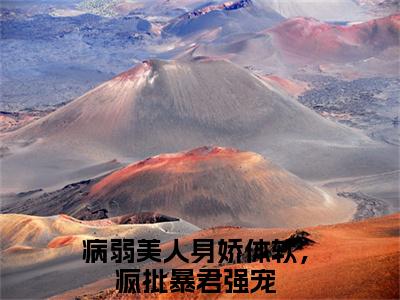 病弱美人身娇体软，疯批暴君强宠(苏杳珧琢小说)最新在线阅读_苏杳珧琢小说免费阅读