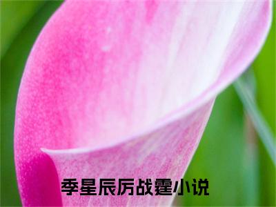 季星辰厉战霆(季星辰厉战霆)小说精彩免费内容_季星辰厉战霆季星辰厉战霆最新章节全文阅读（季星辰厉战霆）