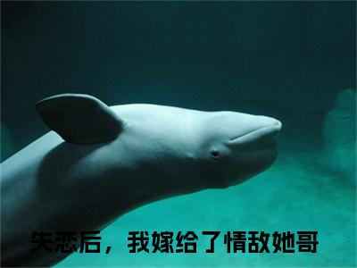 失恋后，我嫁给了情敌她哥小说免费下载阅读_(池清予万俟千翊)失恋后，我嫁给了情敌她哥最新章节列表_笔趣阁（池清予万俟千翊）