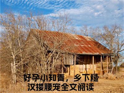 (番外)+(全文)方圆赵天赐小说免费下载阅读_(方圆赵天赐)好孕小知青，乡下糙汉搂腰宠最新章节列表_笔趣阁（好孕小知青，乡下糙汉搂腰宠）