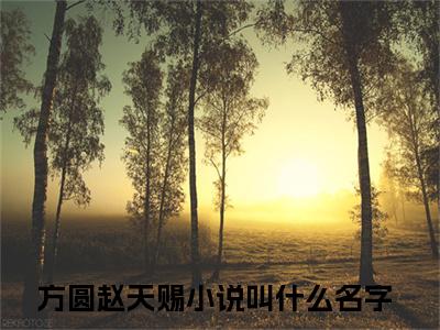 方圆赵天赐（好孕小知青，乡下糙汉搂腰宠）无弹窗小说免费阅读_方圆赵天赐最新章节免费阅读_笔趣阁
