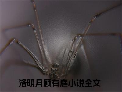 洛明月顾有庭（洛明月顾有庭小说全文）在线阅读无弹窗大结局-洛明月顾有庭全文无删减版阅读