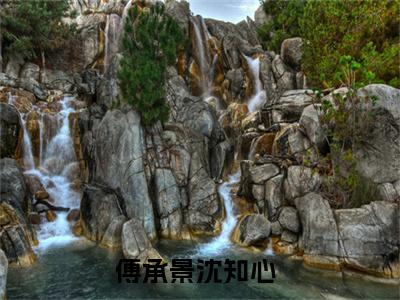 傅承景沈知心知乎小说-傅承景沈知心免费阅读大结局无弹窗