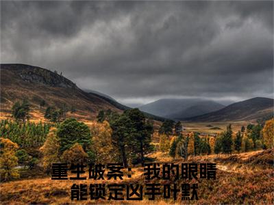 重生破案：我的眼睛能锁定凶手（叶默）全文免费阅读无弹窗大结局_重生破案：我的眼睛能锁定凶手最新章节列表-笔趣阁叶默