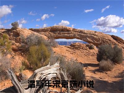 温斯年宋京姝（温斯年宋京姝）全文免费阅读无弹窗大结局_温斯年宋京姝最新章节列表_笔趣阁