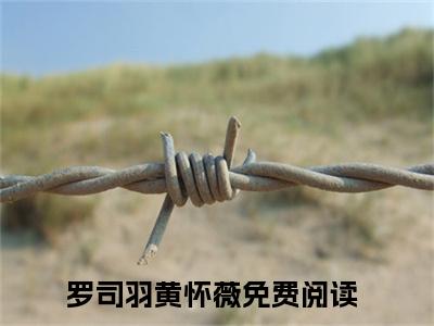 主人公叫（罗司羽黄怀薇）的小说-罗司羽黄怀薇免费阅读最新章节列表_笔趣阁