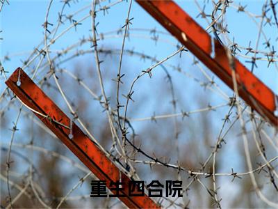 陈晓重生四合院全文免费完整版,陈晓最新章节完整版阅读
