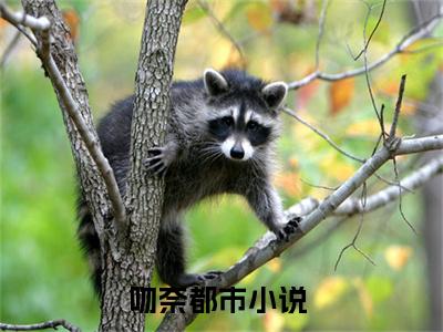 桑奈林景明(吻奈)全文免费阅读无弹窗大结局_(桑奈林景明)最新章节列表_吻奈