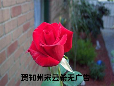 贺知州宋云希阅读无弹窗大结局_（贺知州宋云希阅读无弹窗）贺知州宋云希最新章节列表_笔趣阁（贺知州宋云希）
