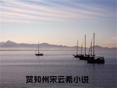贺知州宋云希(贺知州宋云希)全文免费阅读无弹窗大结局_(贺知州宋云希在线阅读)贺知州宋云希最新章节列表笔趣阁（贺知州宋云希）