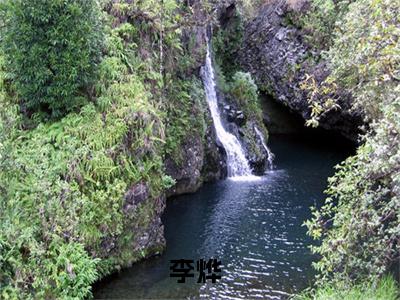 主角是李烨的小说（播种末世）-（播种末世）李烨全文免费阅读无弹窗大结局笔趣阁