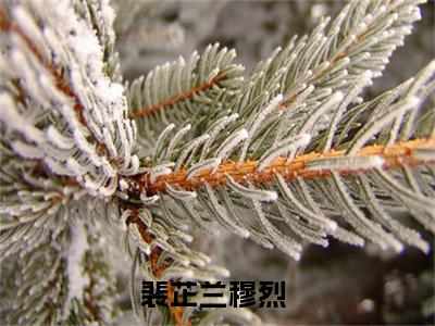 （裴芷兰穆烈）全文免费阅读无弹窗大结局_（裴芷兰穆烈）章节列表_笔趣阁