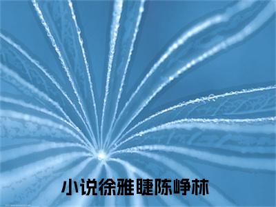 徐雅睫陈峥林是哪部小说的主角，徐雅睫陈峥林免费阅读全文大结局