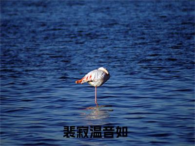 裴寂温音如小说全文免费阅读-裴寂温音如最新小说全文阅读