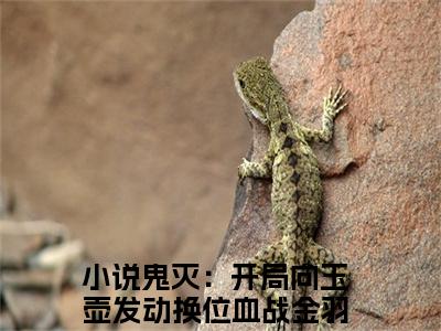 鬼灭：开局向玉壶发动换位血战金羽（鬼灭：开局向玉壶发动换位血战金羽）全文免费阅读无弹窗大结局_（鬼灭：开局向玉壶发动换位血战金羽）鬼灭：开局向玉壶发动换位血战金羽最新章节列表_笔趣阁