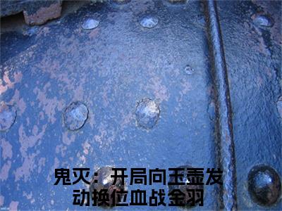 鬼灭：开局向玉壶发动换位血战金羽完结版小说全文在线免费阅读_鬼灭：开局向玉壶发动换位血战金羽最新章节列表_笔趣阁