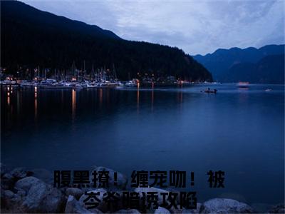 腹黑撩！缠宠吻！被岑爷暗诱攻陷（岑昼乔知漾）全文免费阅读无弹窗_腹黑撩！缠宠吻！被岑爷暗诱攻陷最新小说_笔趣阁（岑昼乔知漾）