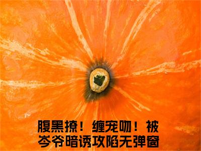 腹黑撩！缠宠吻！被岑爷暗诱攻陷小说岑昼乔知漾全章节阅读-主角为腹黑撩！缠宠吻！被岑爷暗诱攻陷的小说叫什么岑昼乔知漾